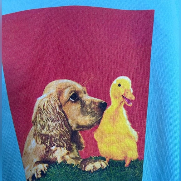 Sandro 100% Organic Cotton Dog + Duck Print Hoodie Authentic Size XXL Turquoise - Picture 6 of 14